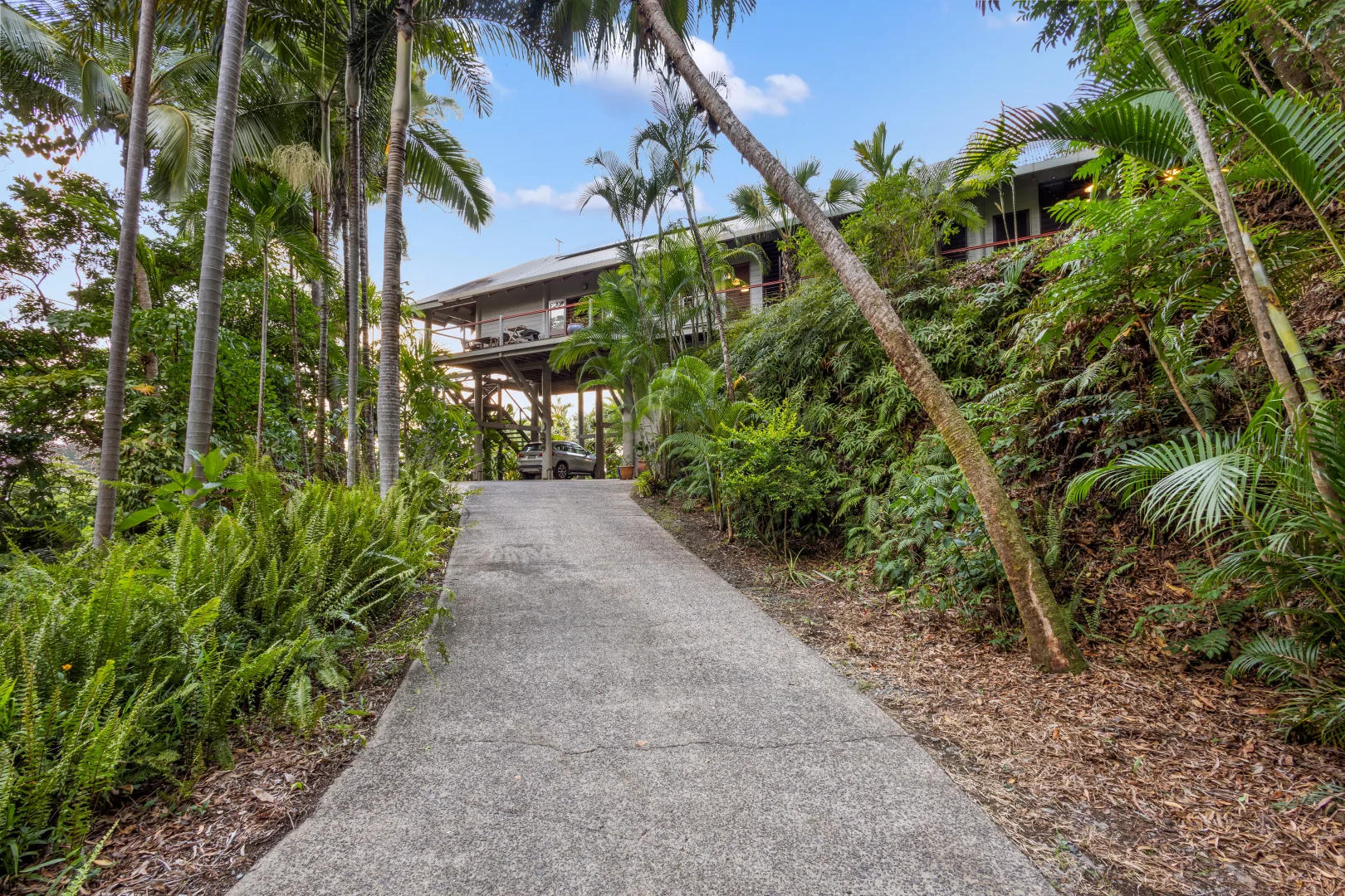 Additional image 64 of 1387 Mossman Daintree Road, Rocky Point QLD 4873