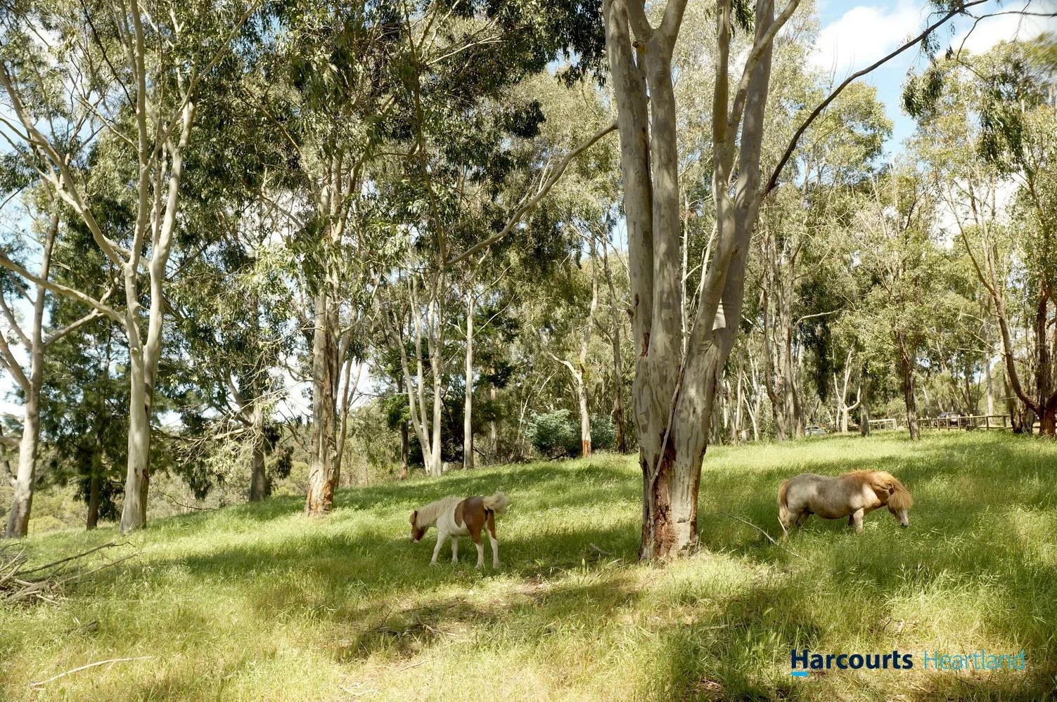 Additional image 27 of 16 Doherty Court, Kangaroo Gully WA 6255