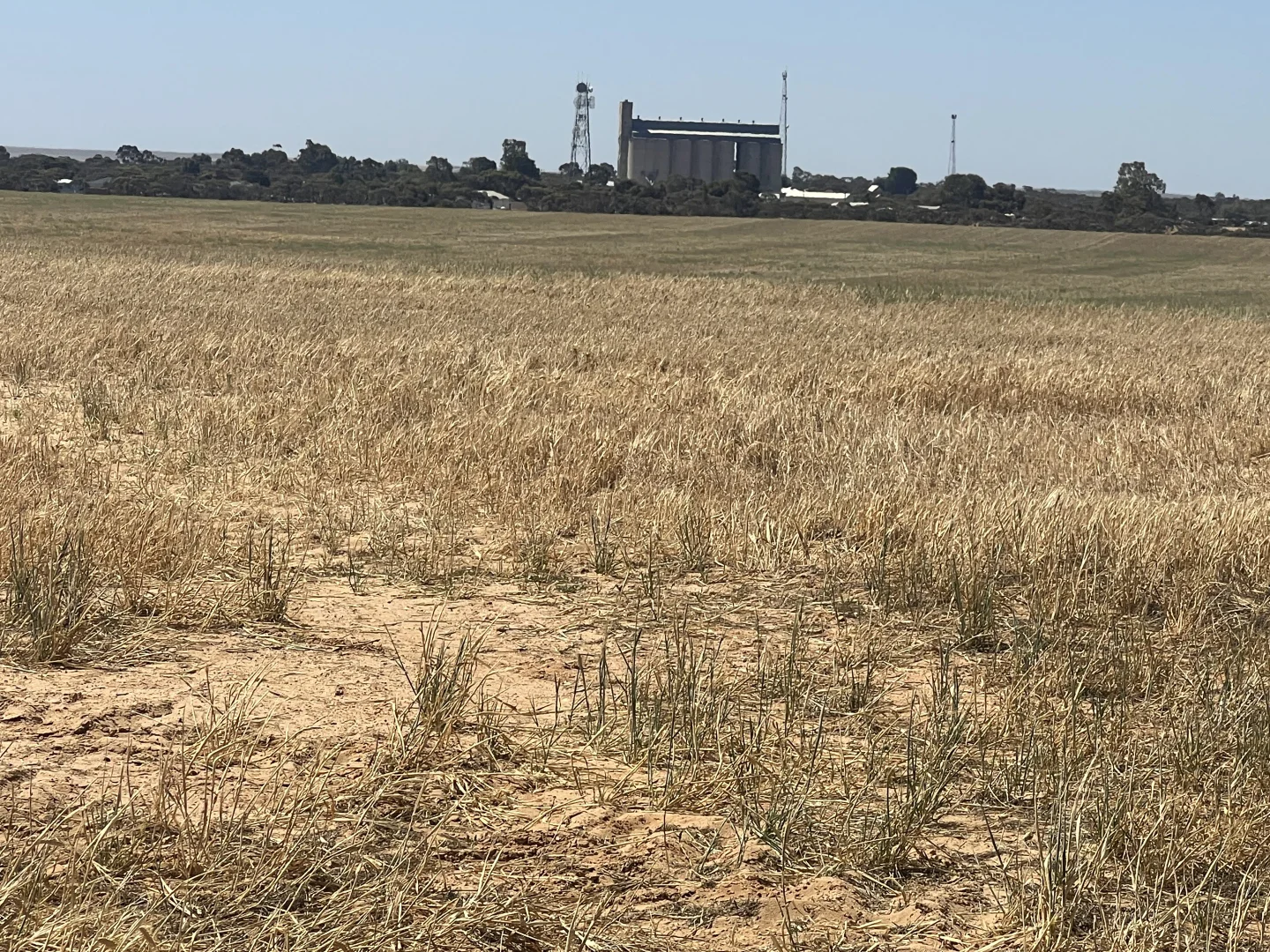 Additional image 6 of 183 Kulkawurra Road, Karoonda SA 5307