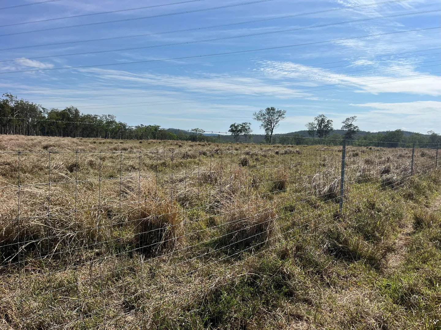Additional image 43 of Blunder Park Station 382 Blunder Park Road, Ravenshoe QLD 4888