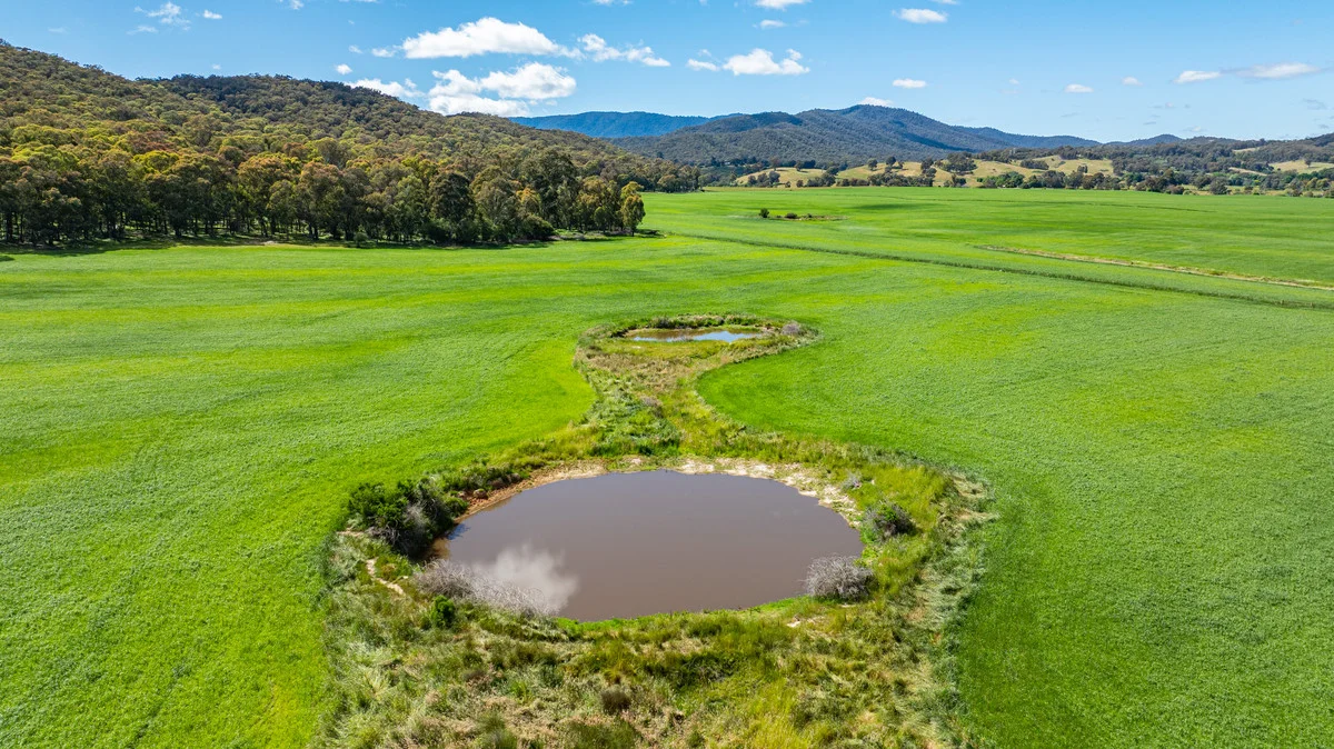 Additional image 12 of 1279 Edi-Cheshunt Road, Whitfield VIC 3733