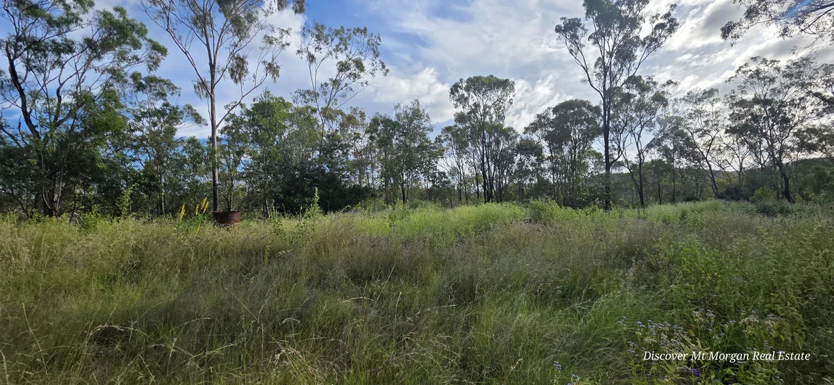 Additional image 13 of Lot 9 Struck oil Road, Struck Oil QLD 4714