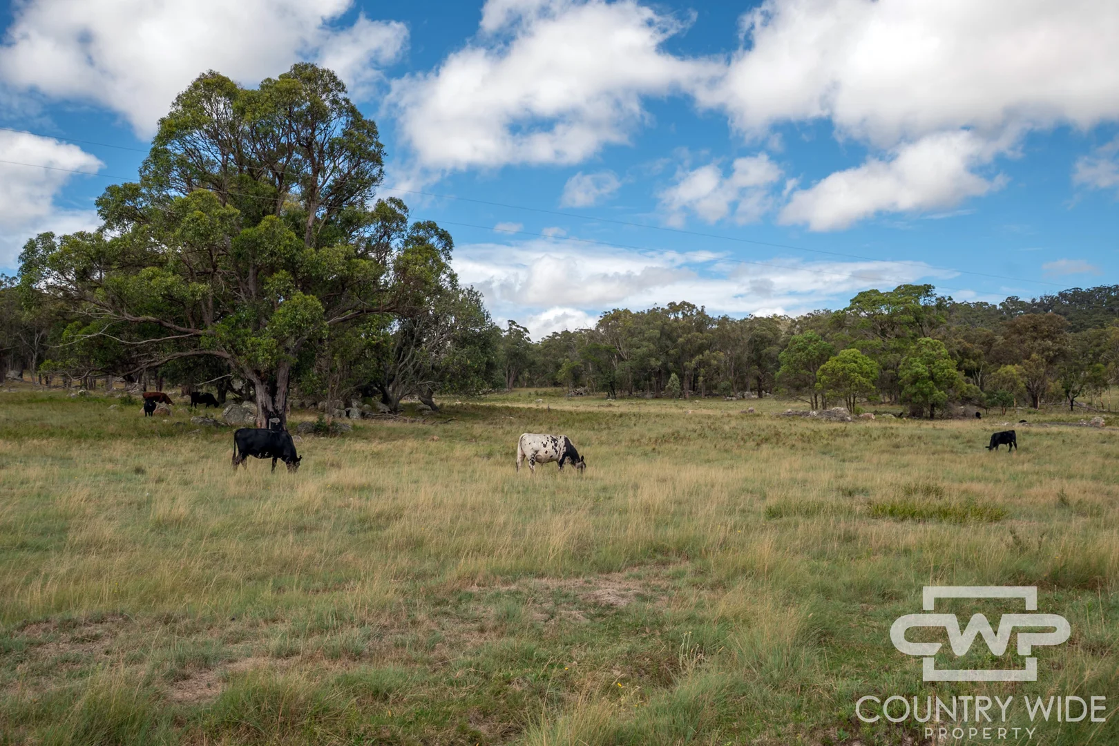 Additional image 22 of 618 Coopers Road, Red Range NSW 2370
