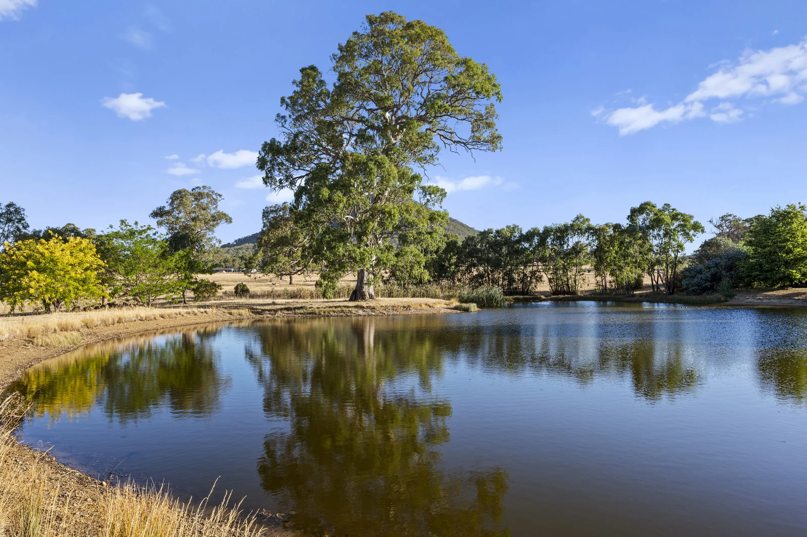 Additional image 20 of 2647 Maroondah Highway, Maindample VIC 3723