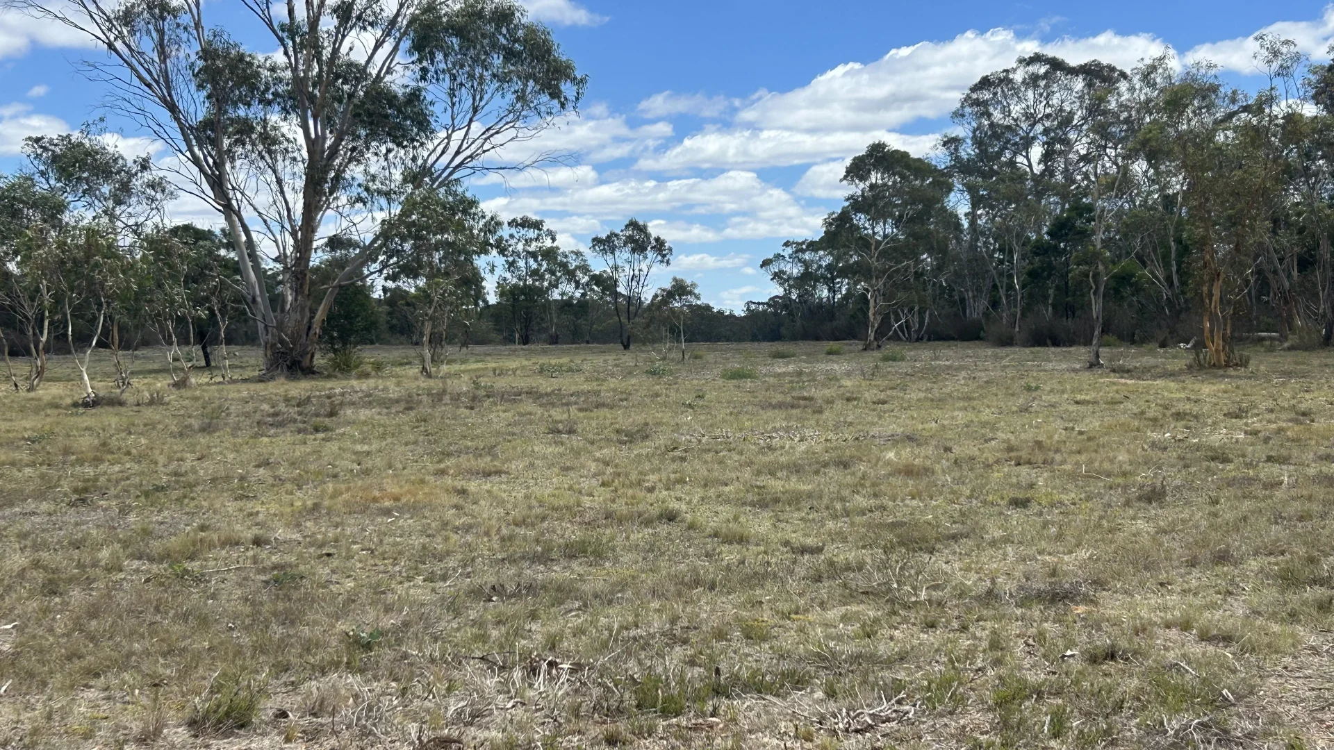 Additional image 13 of 1024 MAYFIELD RD, Braidwood NSW 2622