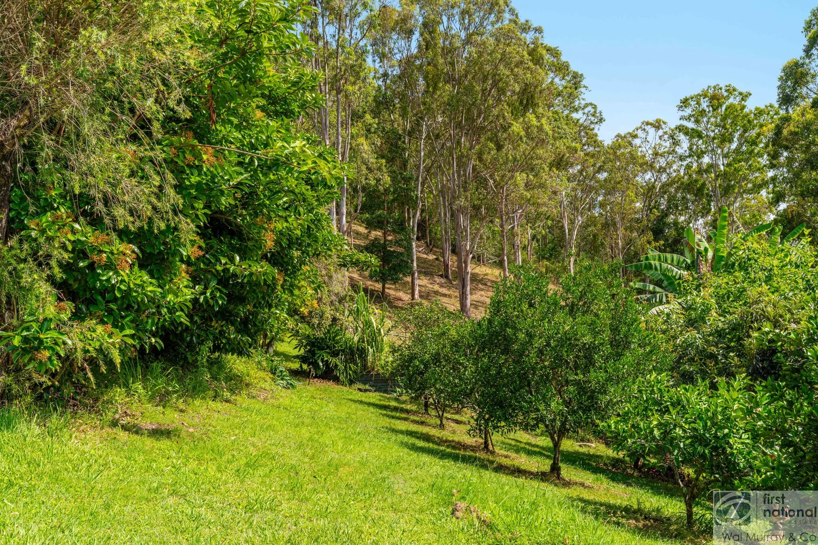 Additional image 17 of 658 Caniaba Road, Caniaba NSW 2480