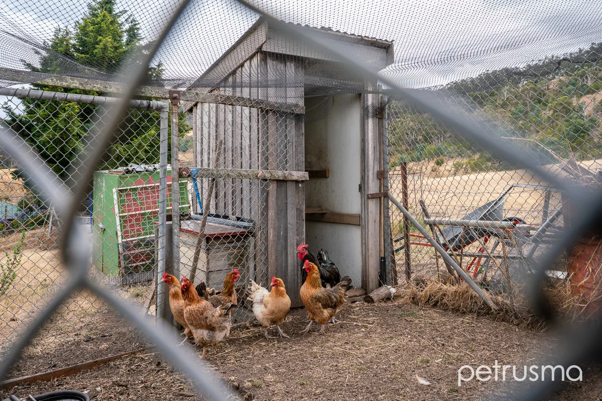 Additional image 31 of 2484 Lyell Highway, Hayes TAS 7140