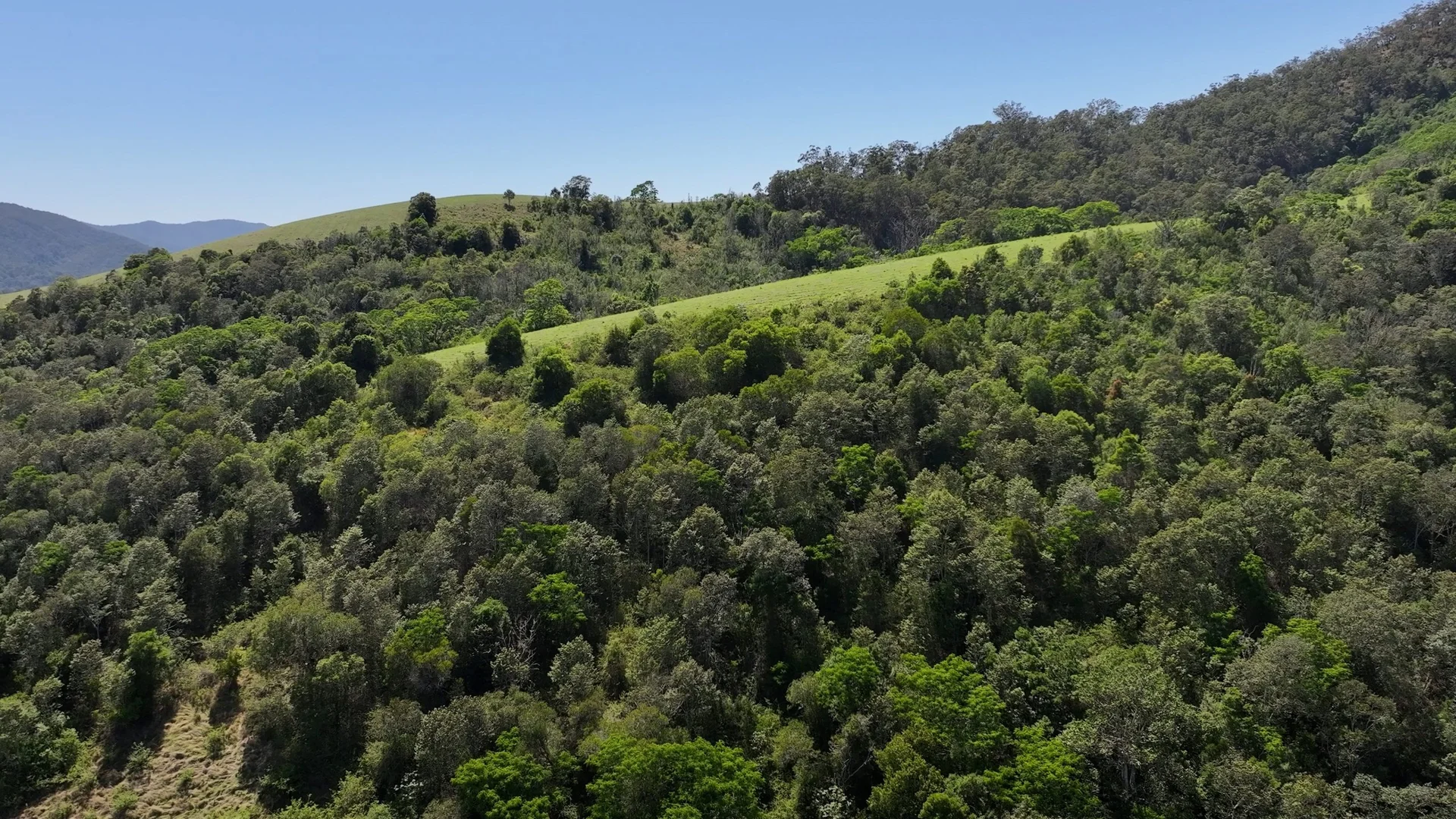 Additional image 21 of 5985 Oxley Highway, Ellenborough NSW 2446