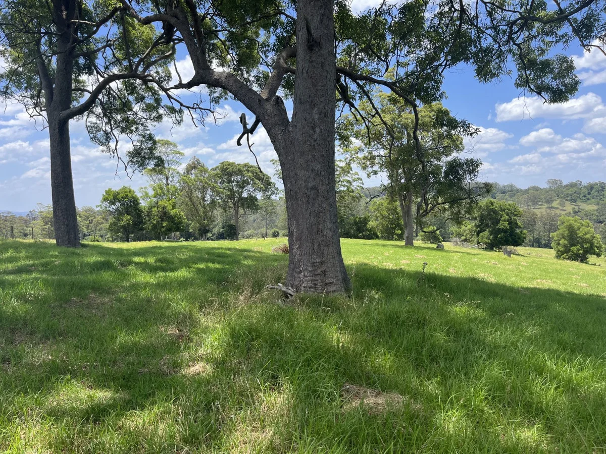 Additional image 5 of Lot 39 Esk-Hampton Road, Ravensbourne QLD 4352