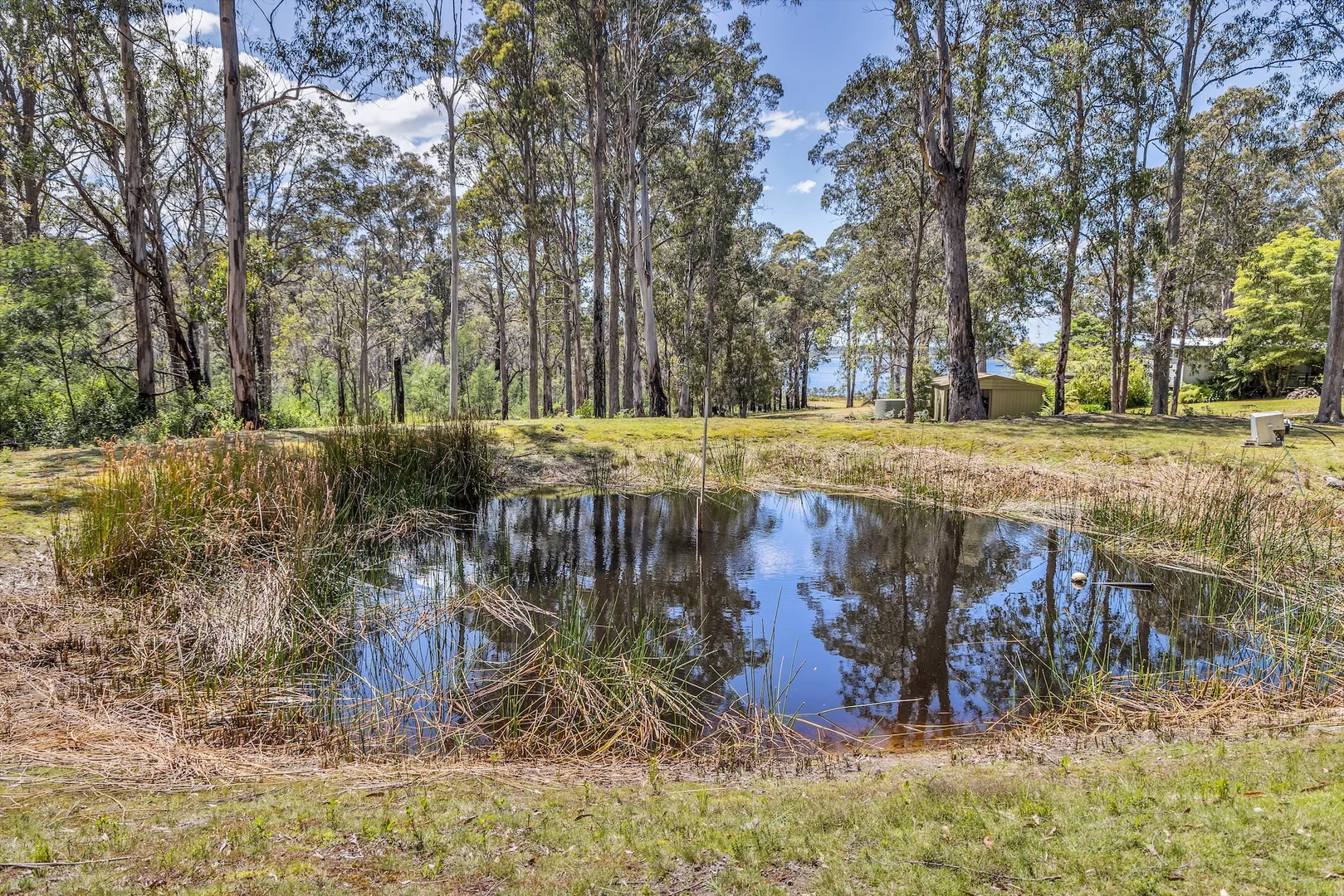 Additional image 22 of 1 Ivor Jones Drive, Wonboyn NSW 2551