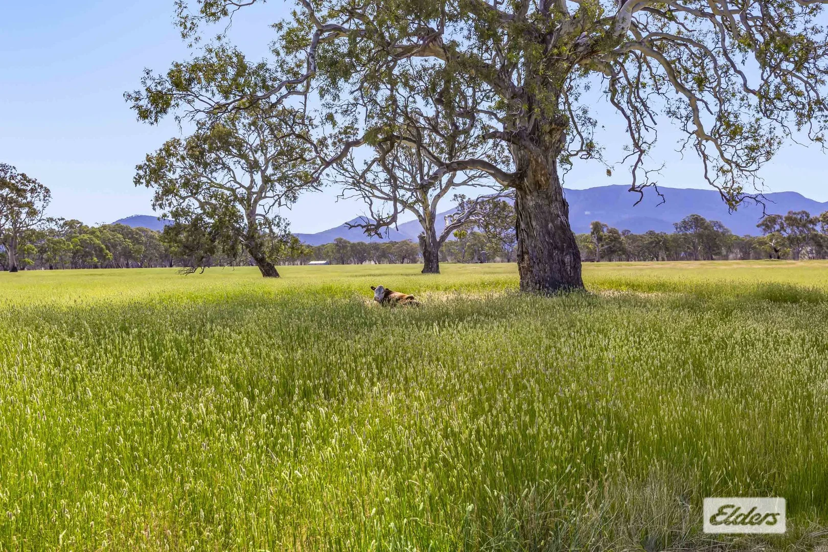 Additional image 5 of CA 2,3,4,5 Moyston - Dunkeld Road, Willaura North VIC 3379