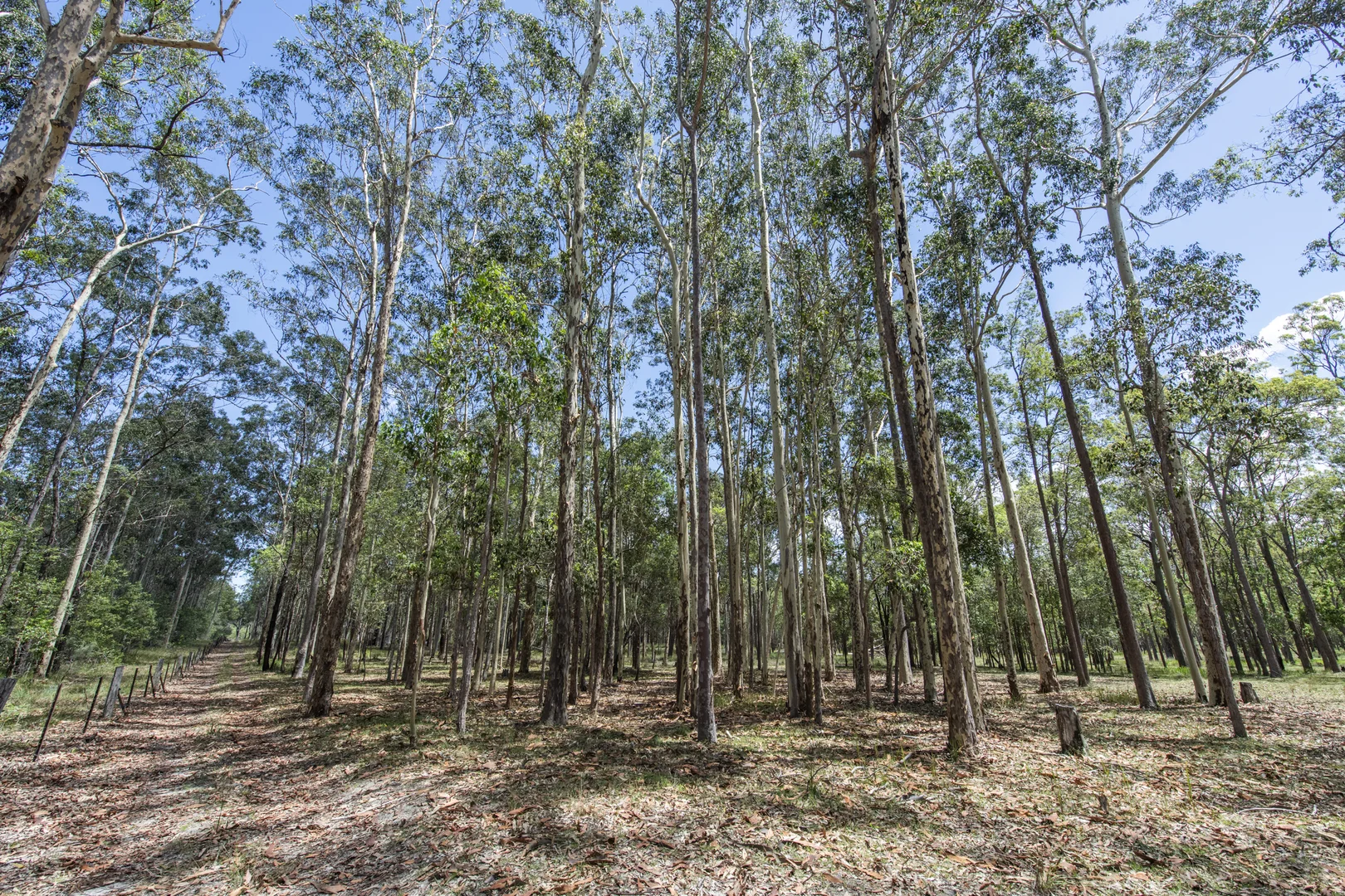Additional image 35 of 172 Meyers Road, Ramornie NSW 2460