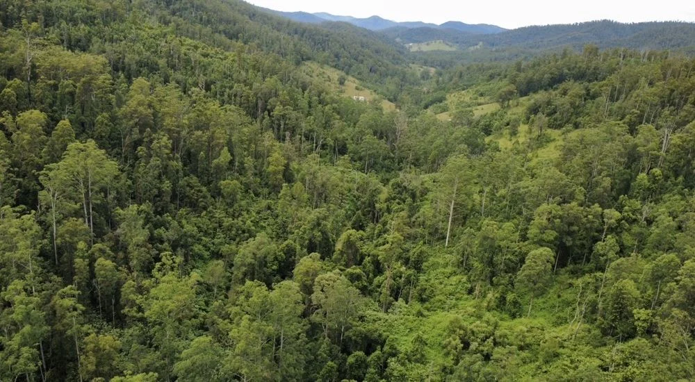 Additional image 10 of 222 Pappinbarra Road Left Arm, Upper Pappinbarra NSW 2446