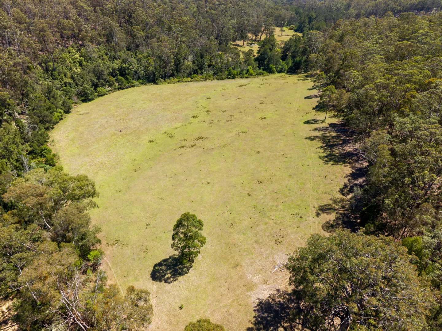 Additional image 27 of 336 Westrops Road, Coolagolite NSW 2550