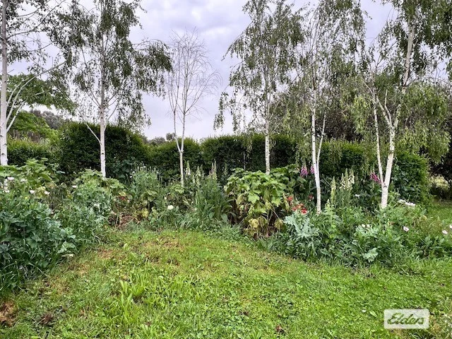 Additional image 17 of 149 Albert Road, Chiltern VIC 3683