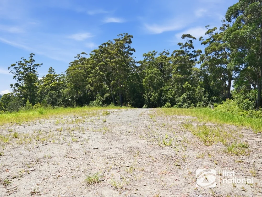 Additional image 19 of Lot 65 North Island Loop Road, Upper Orara NSW 2450