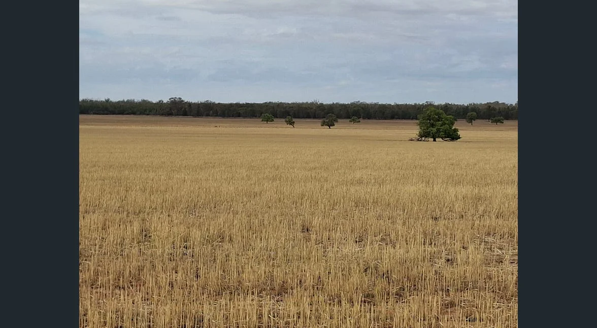 Additional image 27 of Alloway, Gilgandra NSW 2827