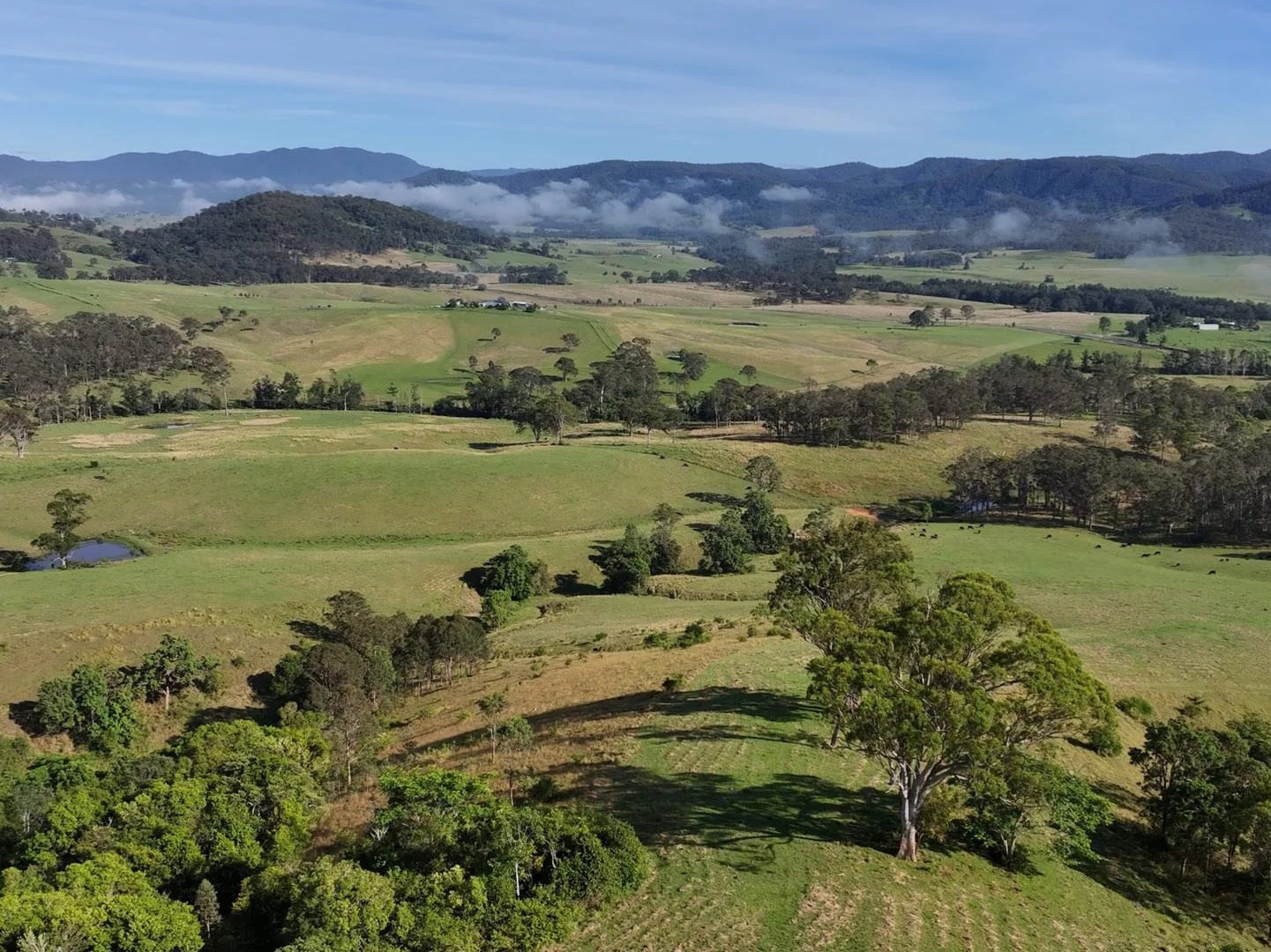 5985 Oxley Highway, Ellenborough NSW 2446