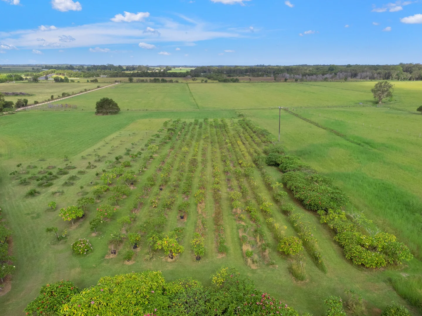 Additional image 28 of 16 Sartories Road, Pimlico NSW 2478