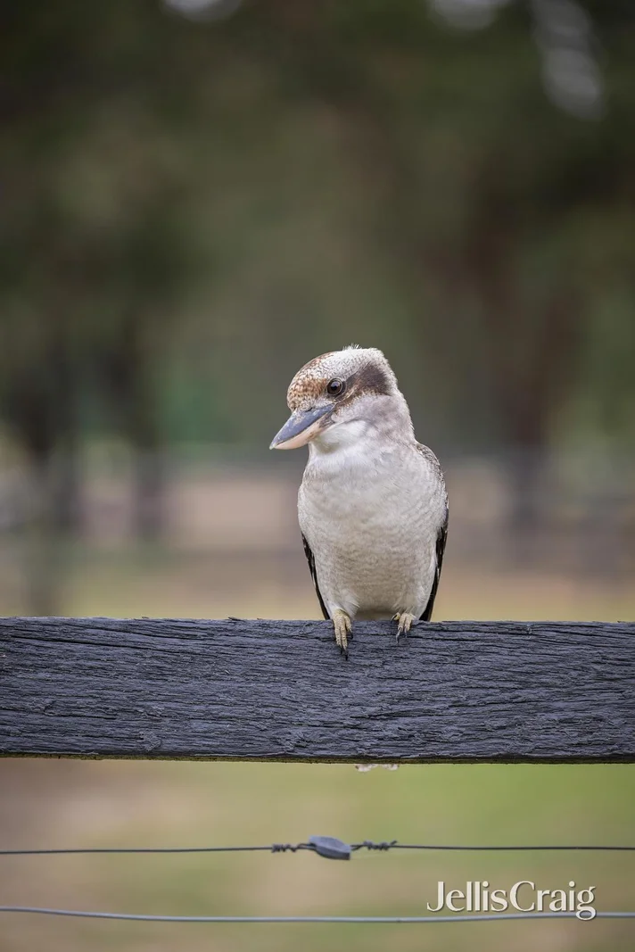 Additional image 21 of 7 Boundary Road, Lilydale VIC 3140