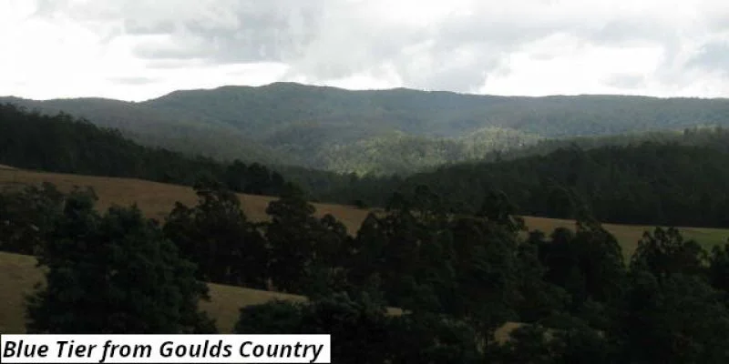 755 Lottah Road, Lottah TAS 7216