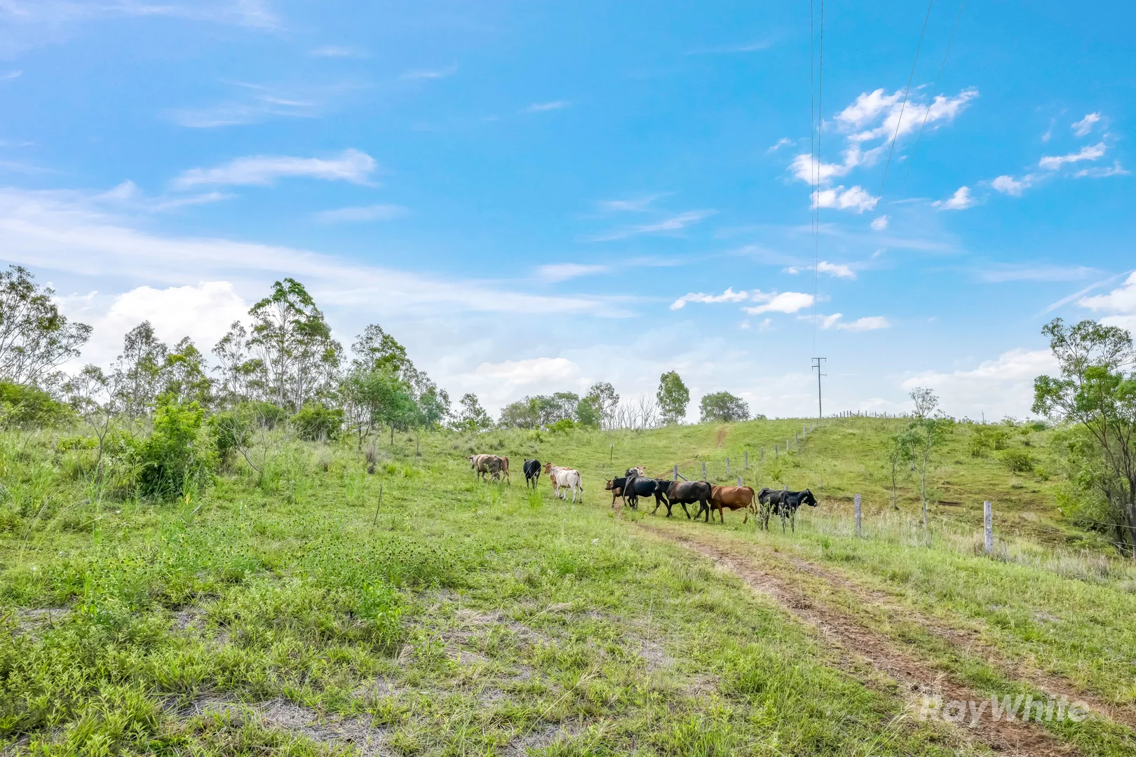 Additional image 13 of 35515 Bruce Highway, Monduran QLD 4671