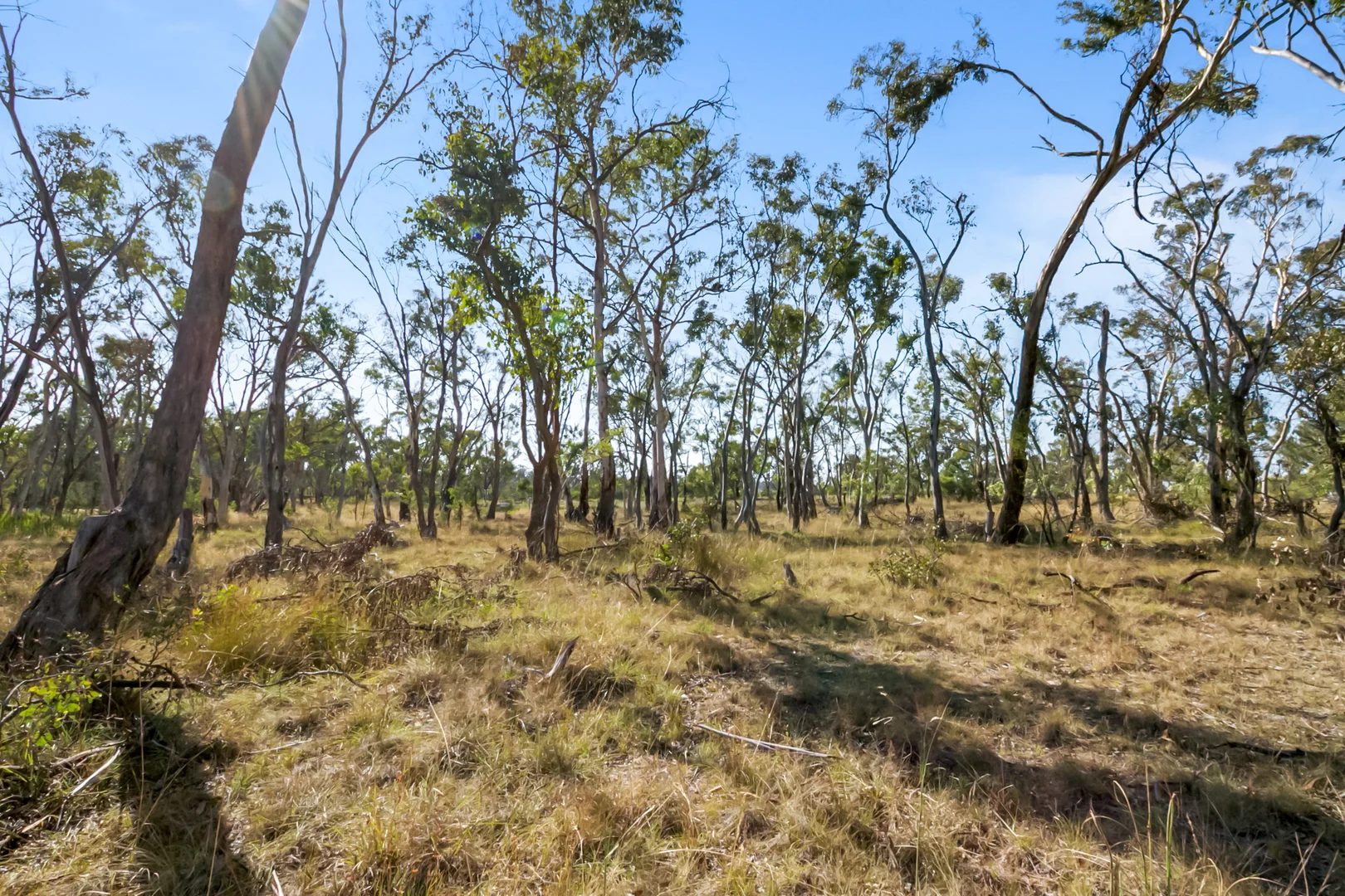 Additional image 5 of 55 Panhandle Road, Uralla NSW 2358