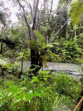 Additional image 25 of 258 Ganyan Drive, Speewah QLD 4881