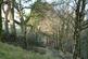 Additional image 6 of Elle Bank Wood, Hayfield, Derbyshire SK22