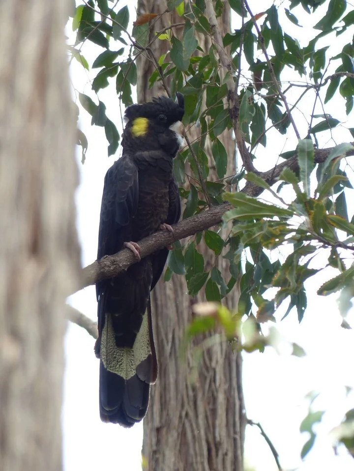 Additional image 24 of 148 Veldens Road, Toorloo Arm VIC 3909