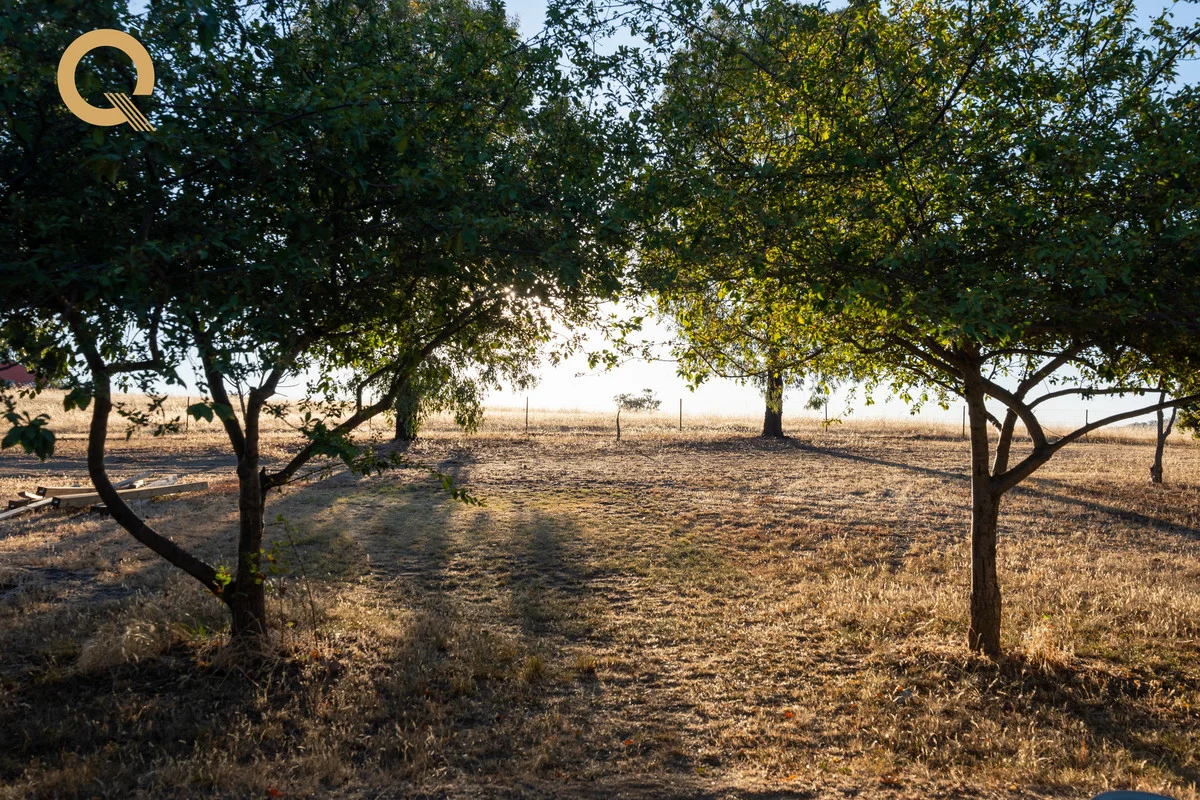 Additional image 28 of 125 Alexandra Way, Table Top NSW 2640