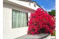 Additional image 33 of 69380 Parkside Dr, Desert Hot Springs, CA, 92241