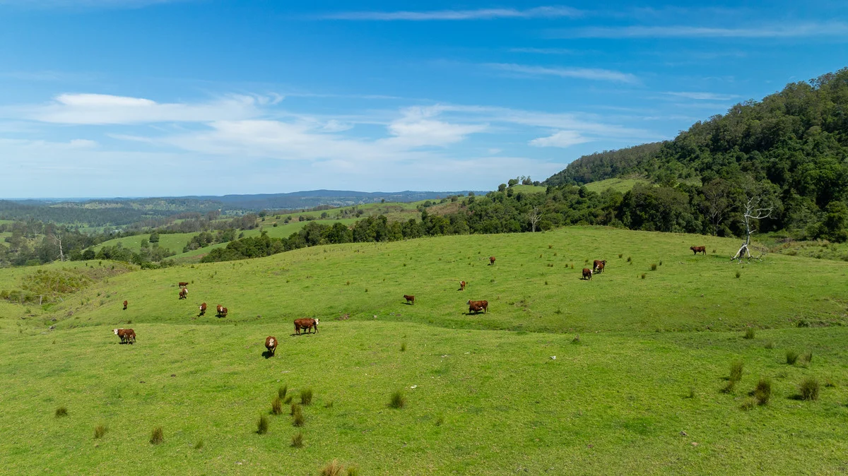 Additional image 10 of Bingeebeebra Creek, Mummulgum NSW 2469