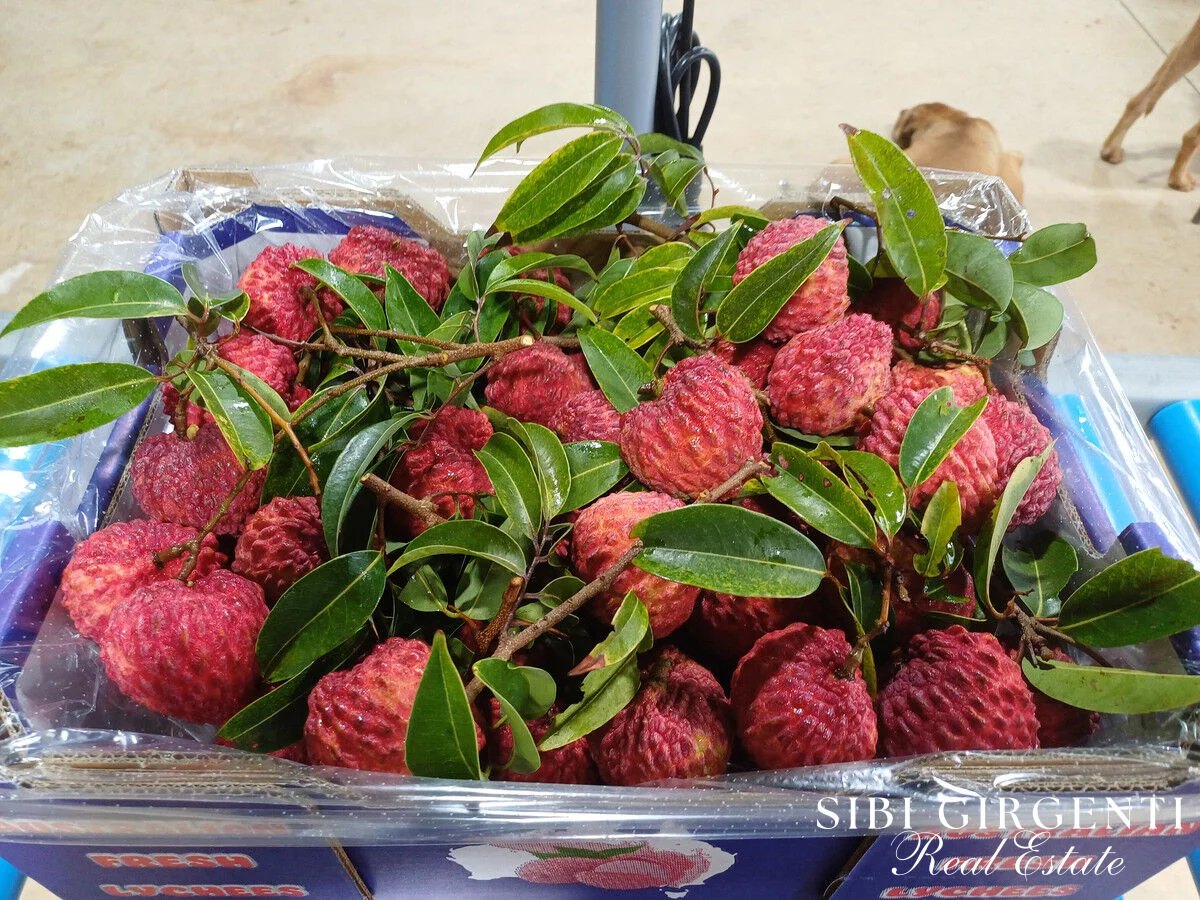 Additional image 2 of 84 Chisari Road, Mutchilba QLD 4872