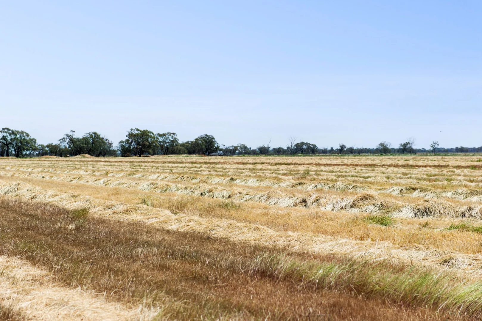 Additional image 8 of Lot N Murphys & Hercus Road, Calivil VIC 3573