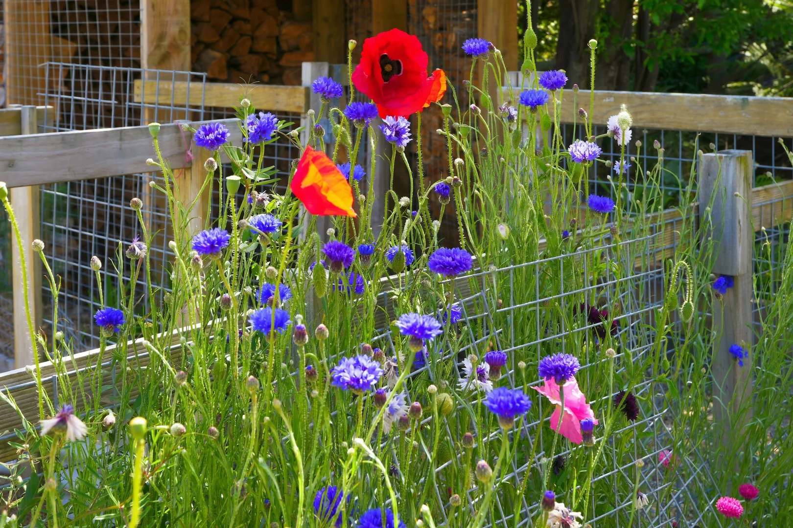 Additional image 25 of 1659 Main Road, Nubeena TAS 7184