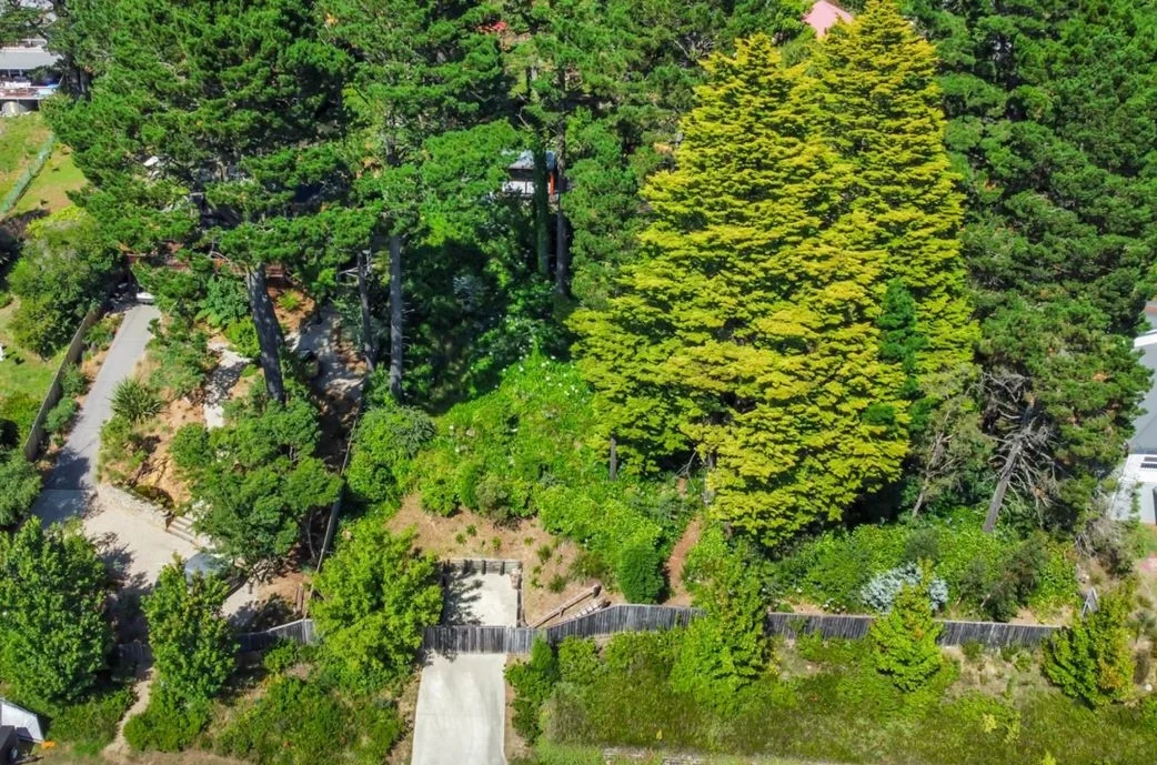 Additional image 3 of 124 -126 Great Western Highway, Wentworth Falls NSW 2782