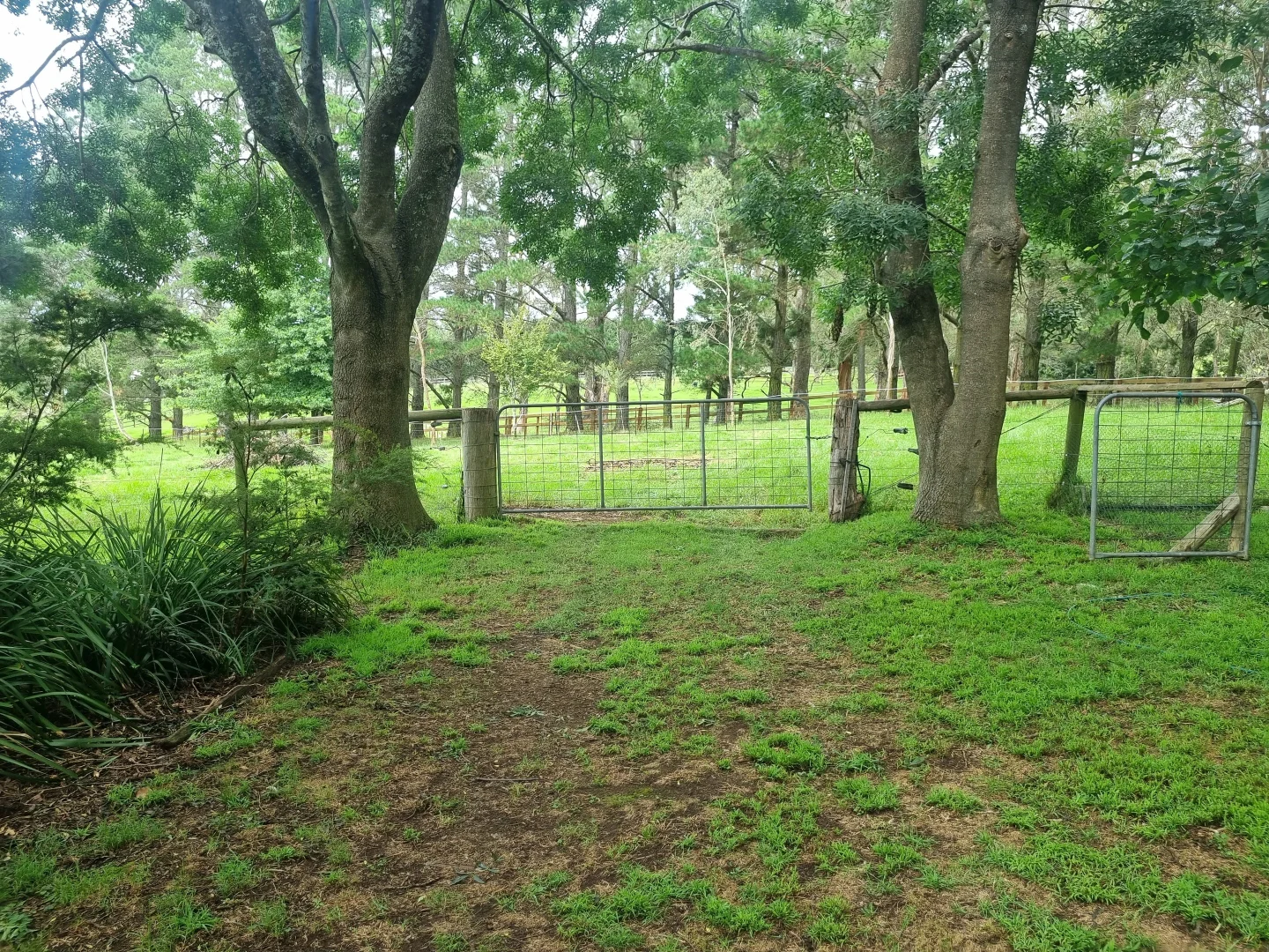 Additional image 19 of 1045 Old Hume Hwy, Alpine NSW 2575