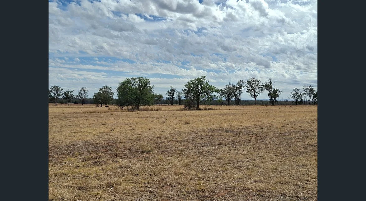 Additional image 31 of Alloway, Gilgandra NSW 2827