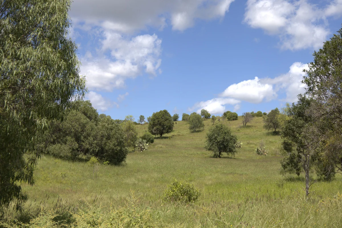 Additional image 32 of "Mustons" Frawleys Road, Thangool QLD 4716