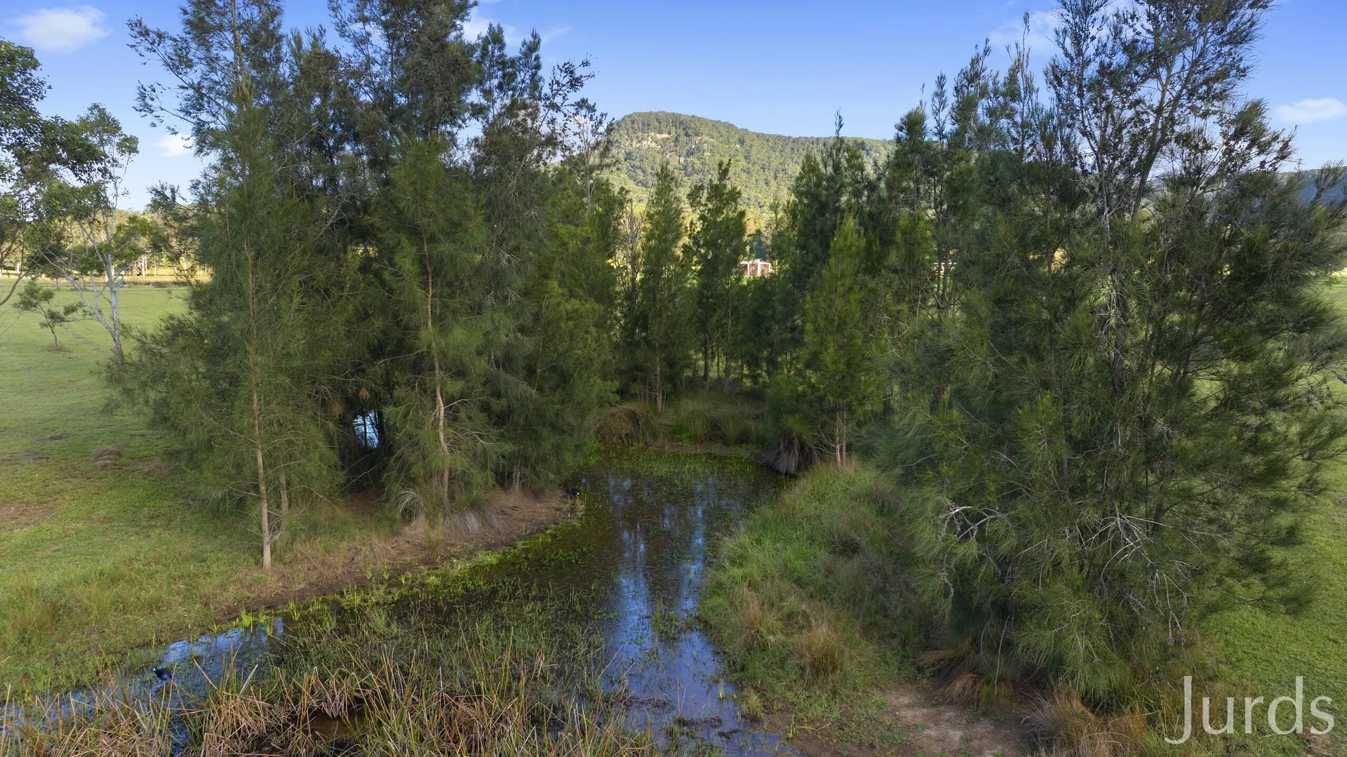 Additional image 39 of 256 Mill Lane, Quorrobolong NSW 2325