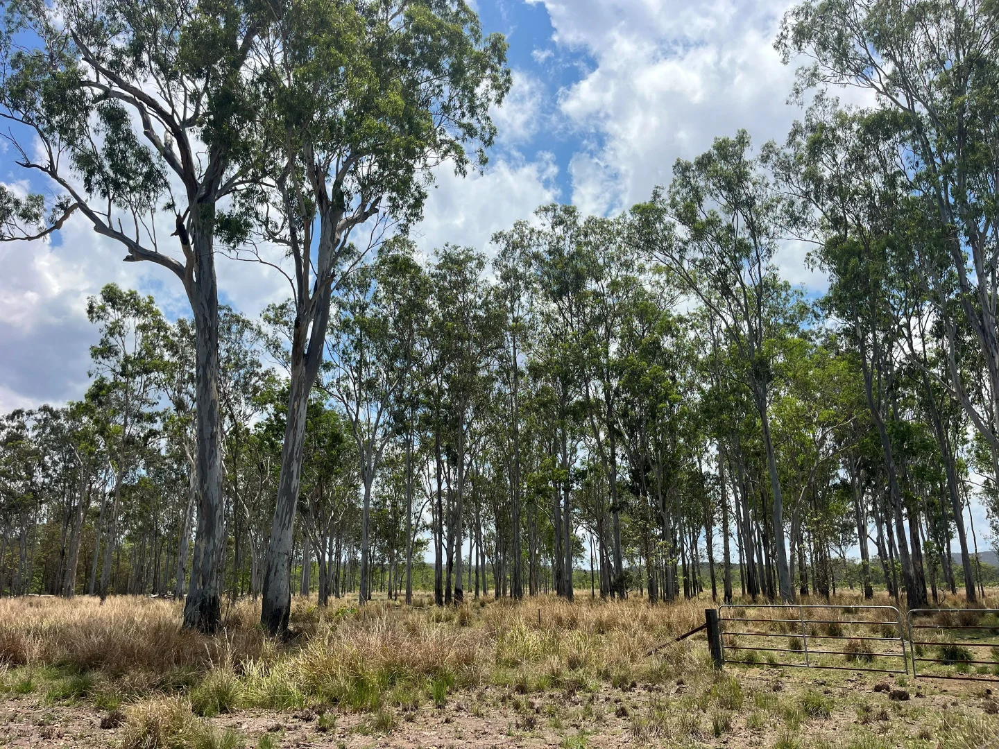 Additional image 40 of Blunder Park Station 382 Blunder Park Road, Ravenshoe QLD 4888