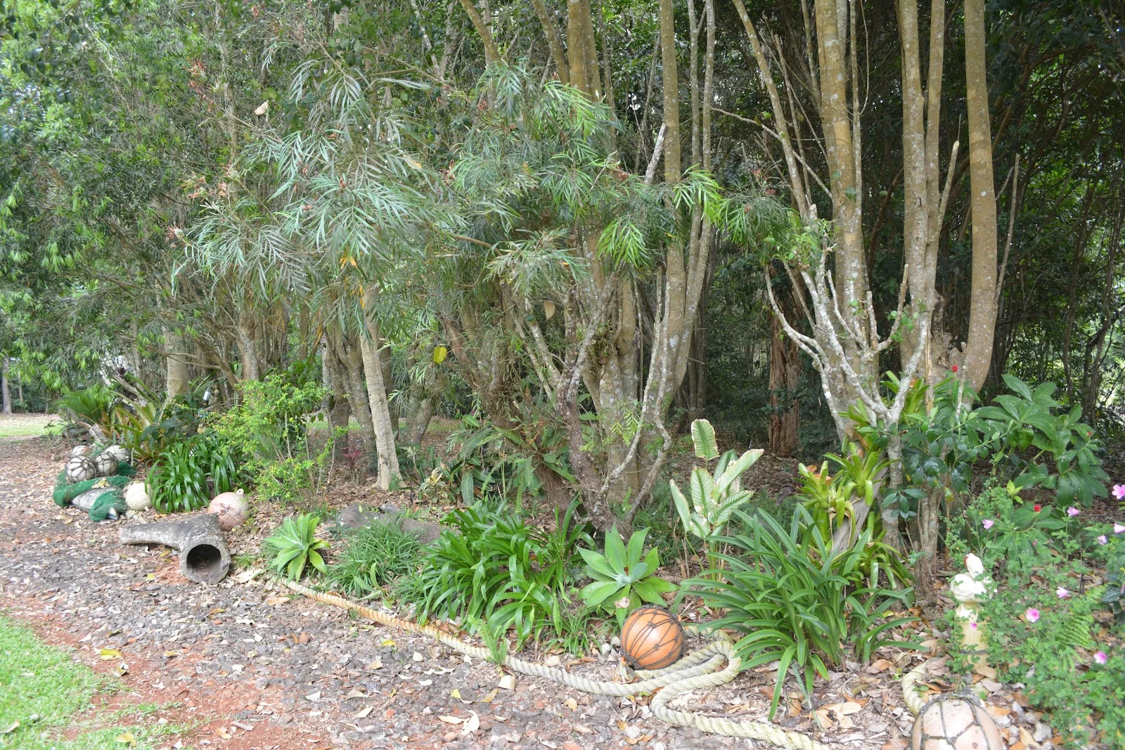 Additional image 40 of 20 Russell Road, Lake Eacham QLD 4884