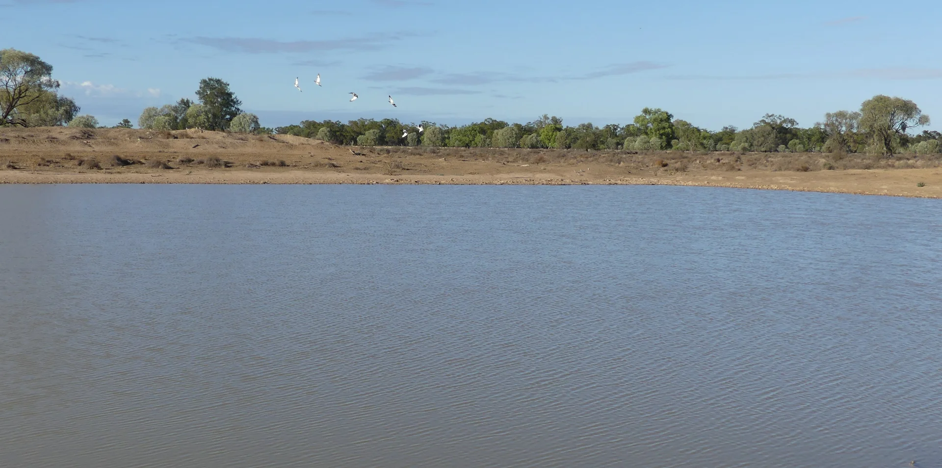 Additional image 10 of Warren NSW 2824