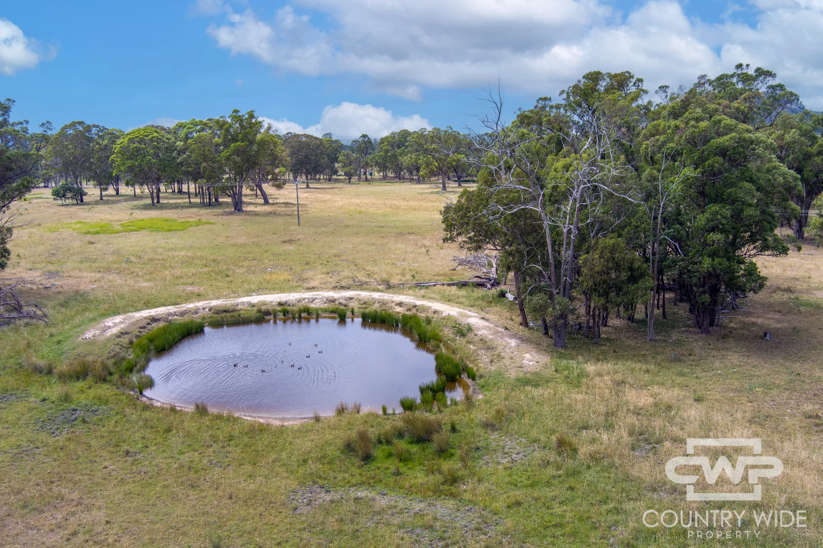 Additional image 6 of 320 Cemetery Road, Torrington NSW 2371