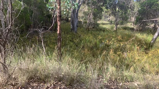 Additional image 6 of L184 Golden Glow Road, Tara QLD 4421