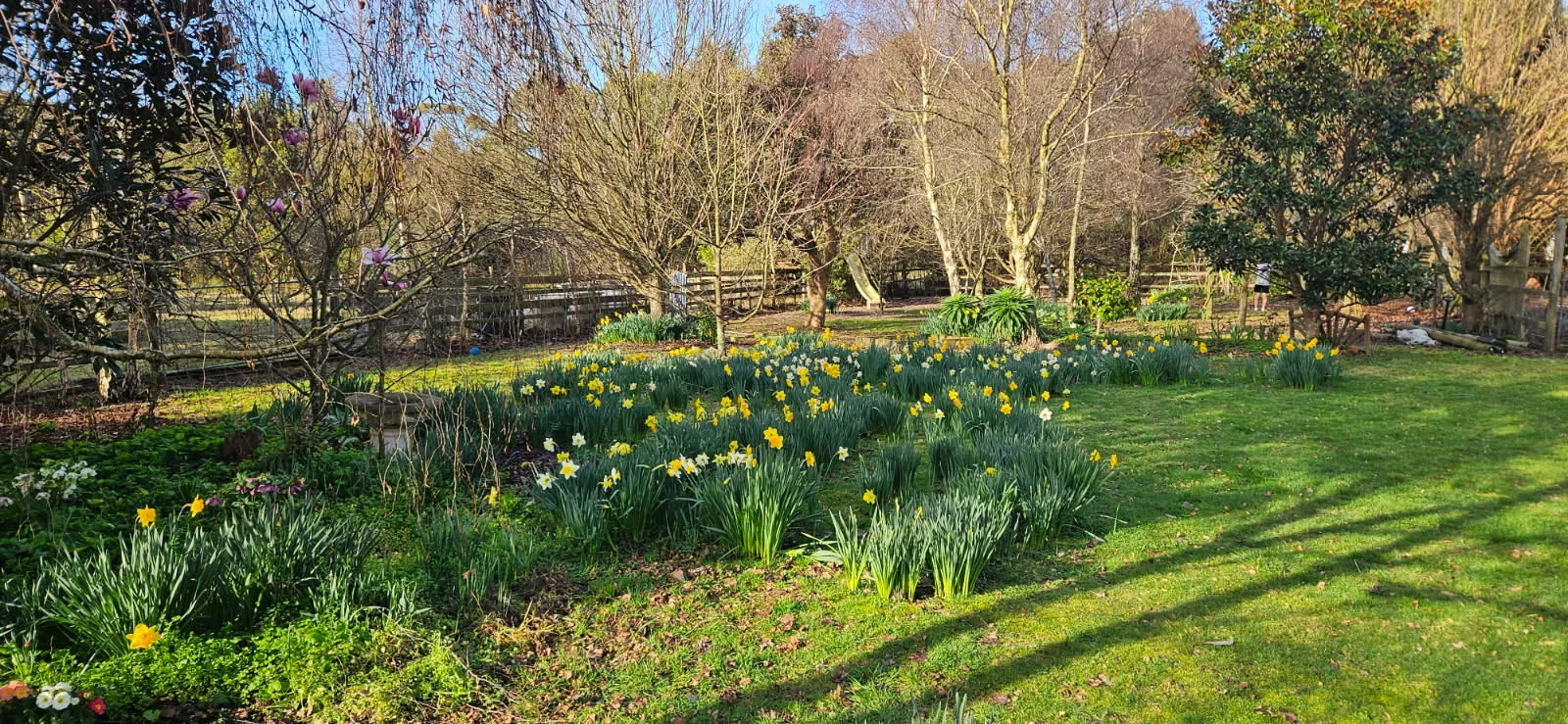 Additional image 25 of 356 montagu road, Smithton TAS 7330