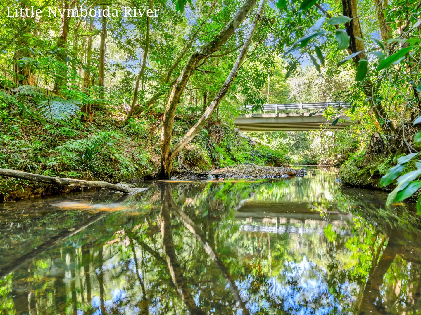 Additional image 21 of 1445 Eastern Dorrigo Way, Lowanna NSW 2450