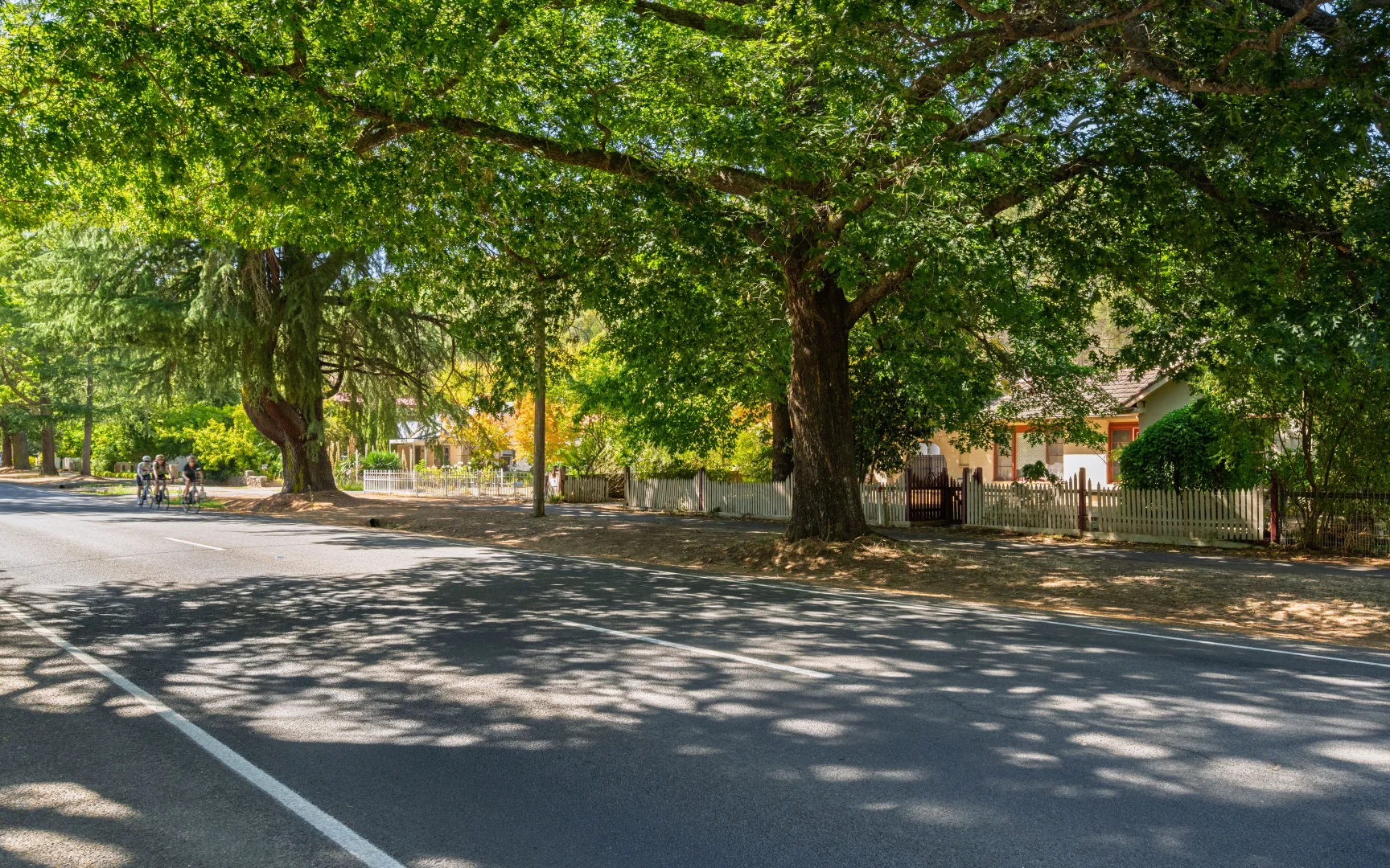 Additional image 17 of 76 Delany Avenue, Bright VIC 3741