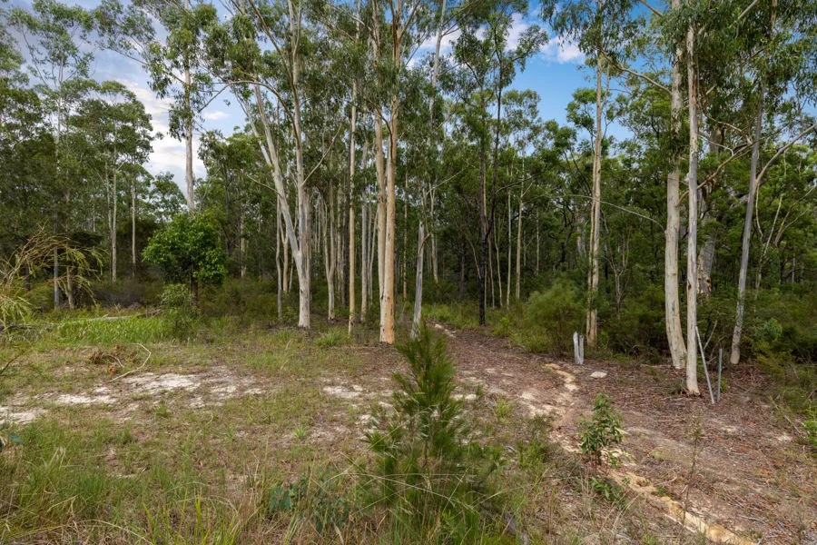 Additional image 9 of 1 Perch Road, Wells Crossing NSW 2460